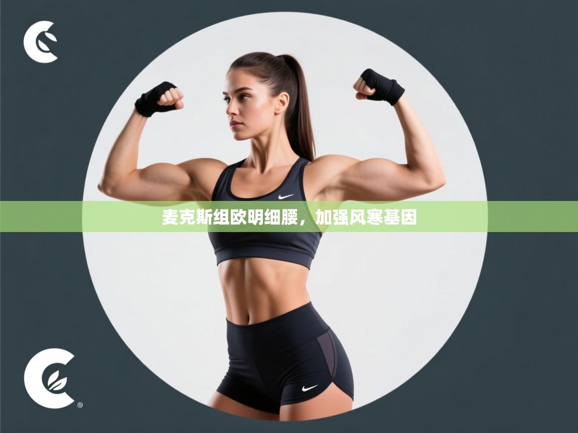 麦克斯组欧明细腰，加强风寒基因  第2张